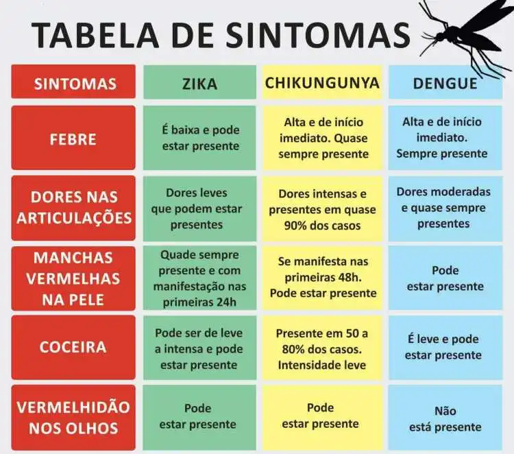 Zika e dengue