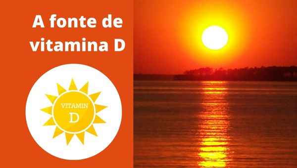 Sol é a fonte de vitamina D para os seres vivos