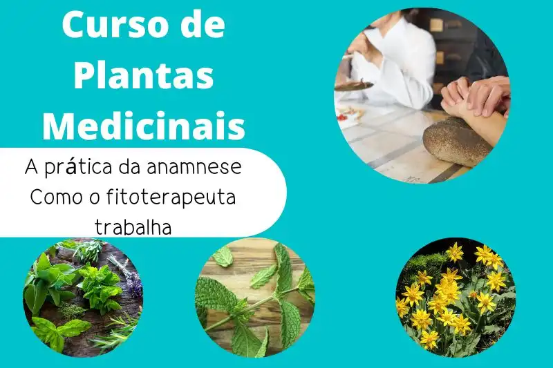 curso de plantas medicinais